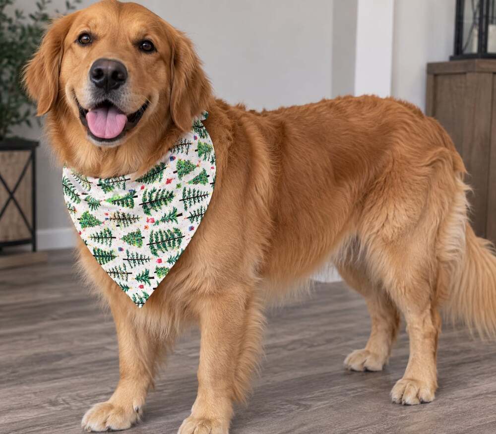 Old Navy Pet Bandana Size L-XL Christmas Tree Print